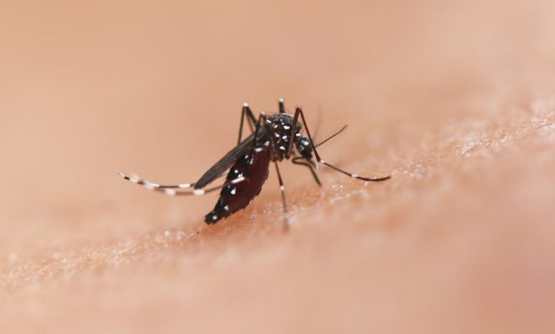 Broward County officials have called off the scheduled spraying of mosquitoes in several of northeast areas due to unfavorable weather