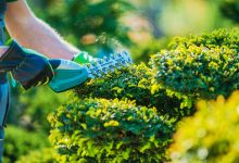 Before residents get out their pruning shears, they are advised to read and respect the restrictions in Section 10-4.4 of the Tamarac Land Development Code