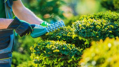Before residents get out their pruning shears, they are advised to read and respect the restrictions in Section 10-4.4 of the Tamarac Land Development Code