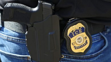 Texas and Florida have made a lot more arrests by Immigration and Customs Enforcement than California despite massive efforts by the ICE