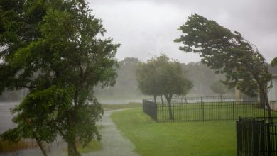 Officials in Broward County are asking the community to come together to help Caribbean citizens who were affected by Hurricane Melissa