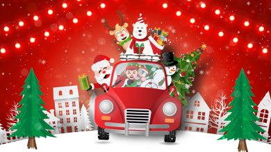 The Holiday Fantasy of Lights is back for another year of nightly displays and fun at Tradewinds Park & Stables