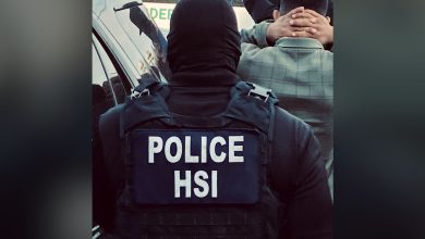 After a number of deadly collisions that have alarmed people in many states, including Florida, federal immigration authorities have launched a large-scale campaign to crack down on illegal immigrant commercial truck drivers