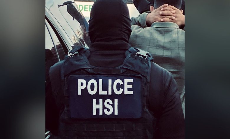 After a number of deadly collisions that have alarmed people in many states, including Florida, federal immigration authorities have launched a large-scale campaign to crack down on illegal immigrant commercial truck drivers