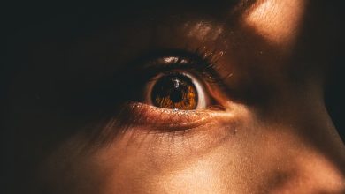 A Florida man who had already been convicted of se* crimes against children has been sentenced to more than ten years in federal prison after admitting that he used the internet to access and view child abuse materials