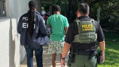 Florida has carried out what state officials call the biggest collaborative immigration enforcement action in the history of Immigration and Customs Enforcement over the past eight months. More than 10,000 illegal immigrants have been arrested as a result.