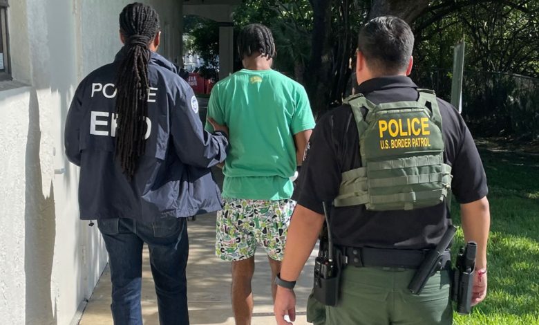 Florida has carried out what state officials call the biggest collaborative immigration enforcement action in the history of Immigration and Customs Enforcement over the past eight months. More than 10,000 illegal immigrants have been arrested as a result.