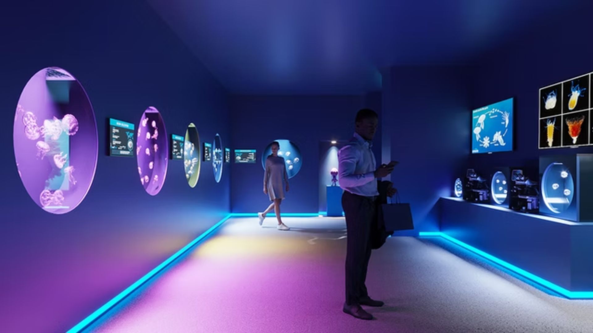 A new coastal attraction is taking shape in Pompano Beach, where city leaders and redevelopment officials are preparing to welcome a one-of-a-kind destination centered on one of the ocean’s most mysterious creatures.