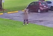 An arrest has now been made in a troubling assault case that shook part of Weston earlier this month, bringing a significant development to an investigation that began with a violent encounter in broad daylight.