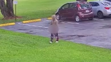 An arrest has now been made in a troubling assault case that shook part of Weston earlier this month, bringing a significant development to an investigation that began with a violent encounter in broad daylight.