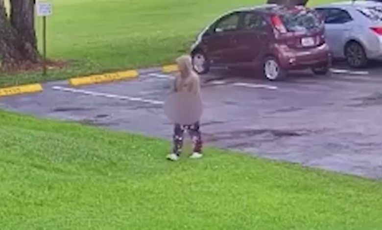 An arrest has now been made in a troubling assault case that shook part of Weston earlier this month, bringing a significant development to an investigation that began with a violent encounter in broad daylight.