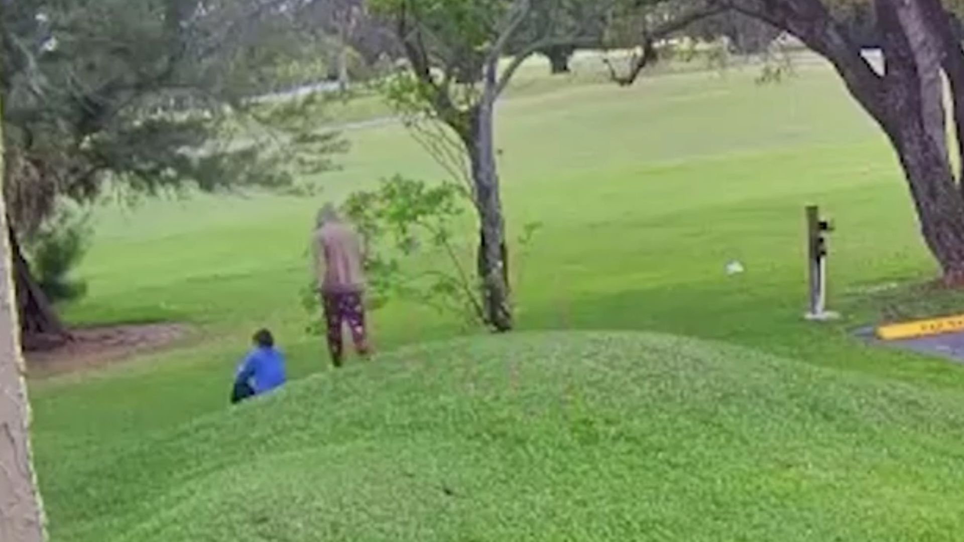 An arrest has now been made in a troubling assault case that shook part of Weston earlier this month, bringing a significant development to an investigation that began with a violent encounter in broad daylight.