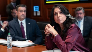 Speaking on Morning Joe, former Palm Beach County State Attorney Dave Aronberg argued that investigators examining the matter in Florida are walking toward a legal dead end, not a breakthrough.