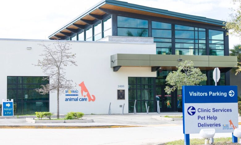 A major push to place shelter dogs into homes is coming to Hollywood this weekend, as Broward County joins several South Florida animal welfare groups for the Petco Love Florida MEGA Adoption Event.