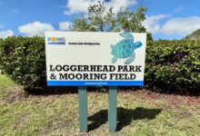 Loggerhead Park and Mooring Field has quickly become more than a new stop along Hollywood’s waterfront. Less than a year after its grand opening, the Broward County Parks facility has earned national attention from the National Association of County Park and Recreation Officials, known as NACPRO, for excellence in developed recreation.