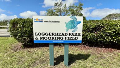 Loggerhead Park and Mooring Field has quickly become more than a new stop along Hollywood’s waterfront. Less than a year after its grand opening, the Broward County Parks facility has earned national attention from the National Association of County Park and Recreation Officials, known as NACPRO, for excellence in developed recreation.