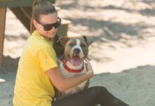 Broward County Animal Care is again joining the BISSELL Pet Foundation’s nationwide Empty the Shelters campaign, waiving adoption fees through Sunday, July 26. The effort is designed to move more animals into permanent homes while freeing shelter space for the next pets that arrive needing food, medical attention and protection.