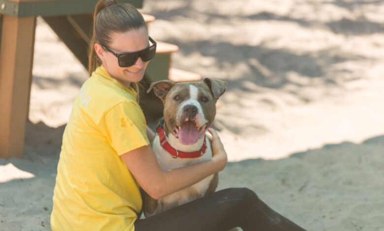 Broward County Animal Care is again joining the BISSELL Pet Foundation’s nationwide Empty the Shelters campaign, waiving adoption fees through Sunday, July 26. The effort is designed to move more animals into permanent homes while freeing shelter space for the next pets that arrive needing food, medical attention and protection.